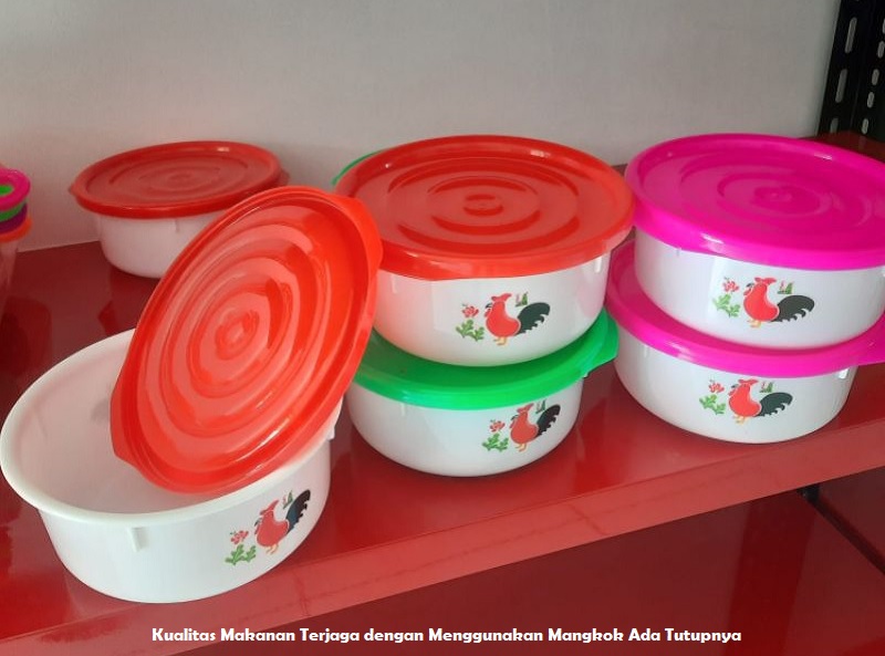 Kualitas Makanan Terjaga dengan Menggunakan Mangkok Ada Tutupnya